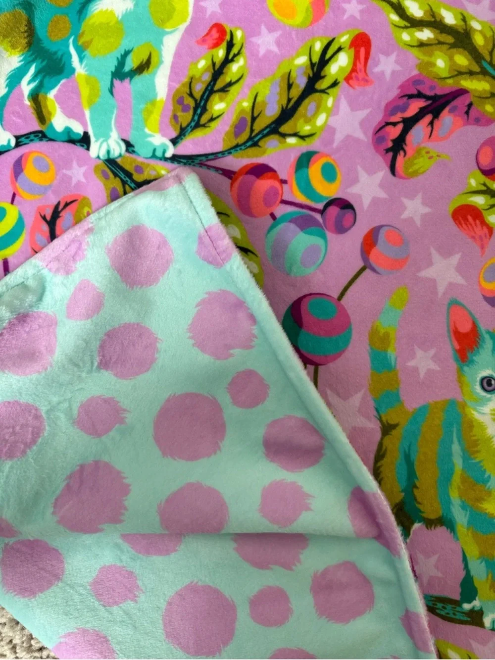 Disco Kitty Minky Baby Blanket